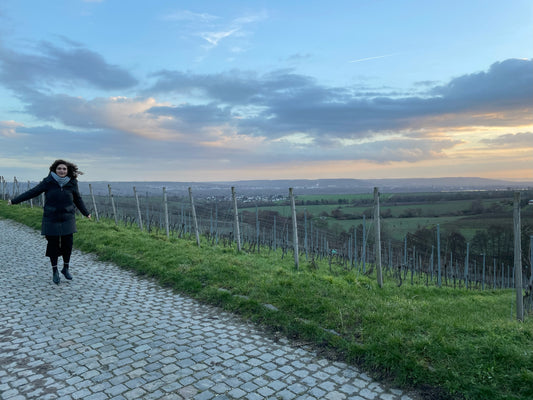 February Visit to Rheingau