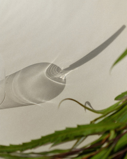 wine glass reflection on a neutral background next to some plants