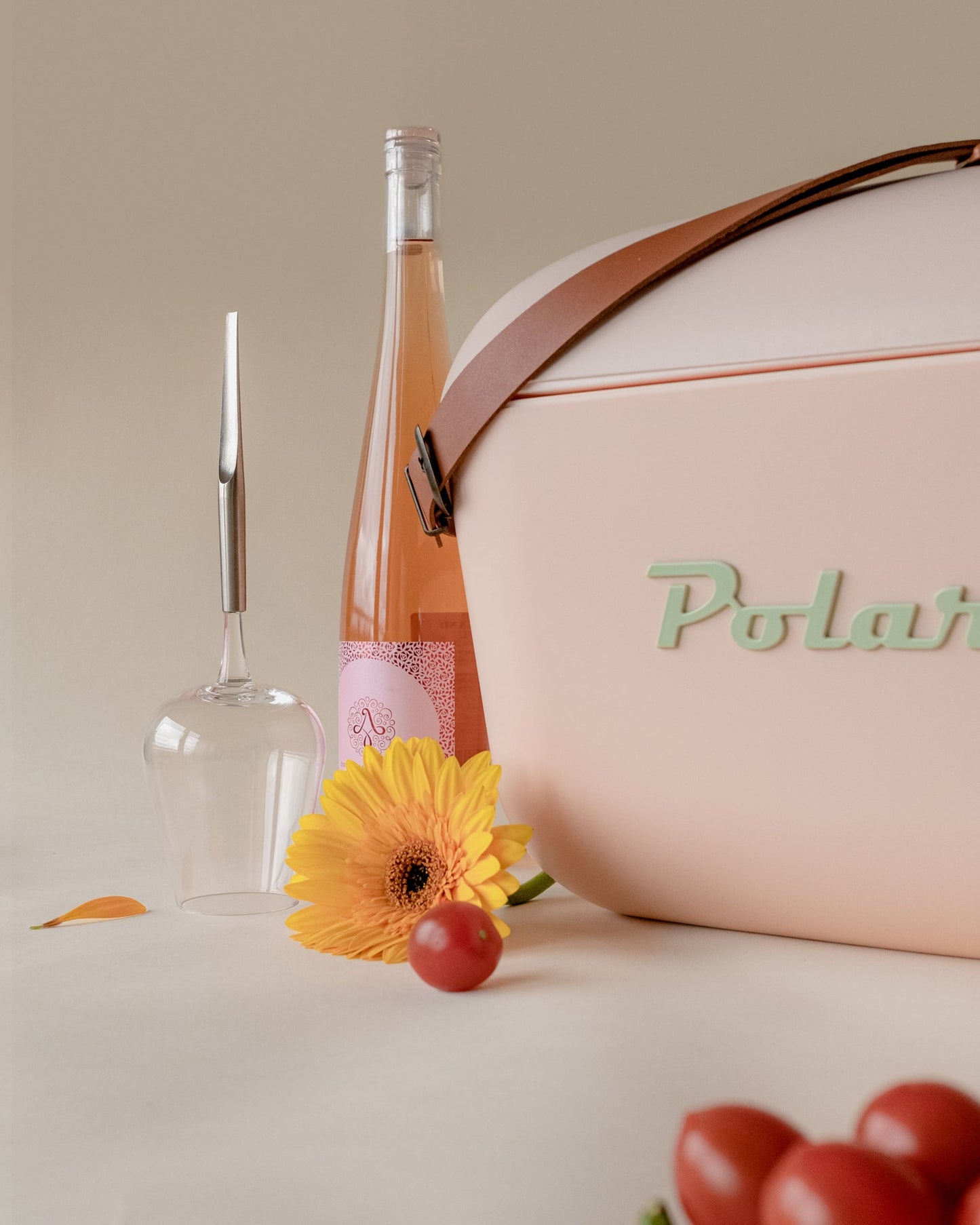 PolarBox - The Retro Cooling Box - 20L, Nude