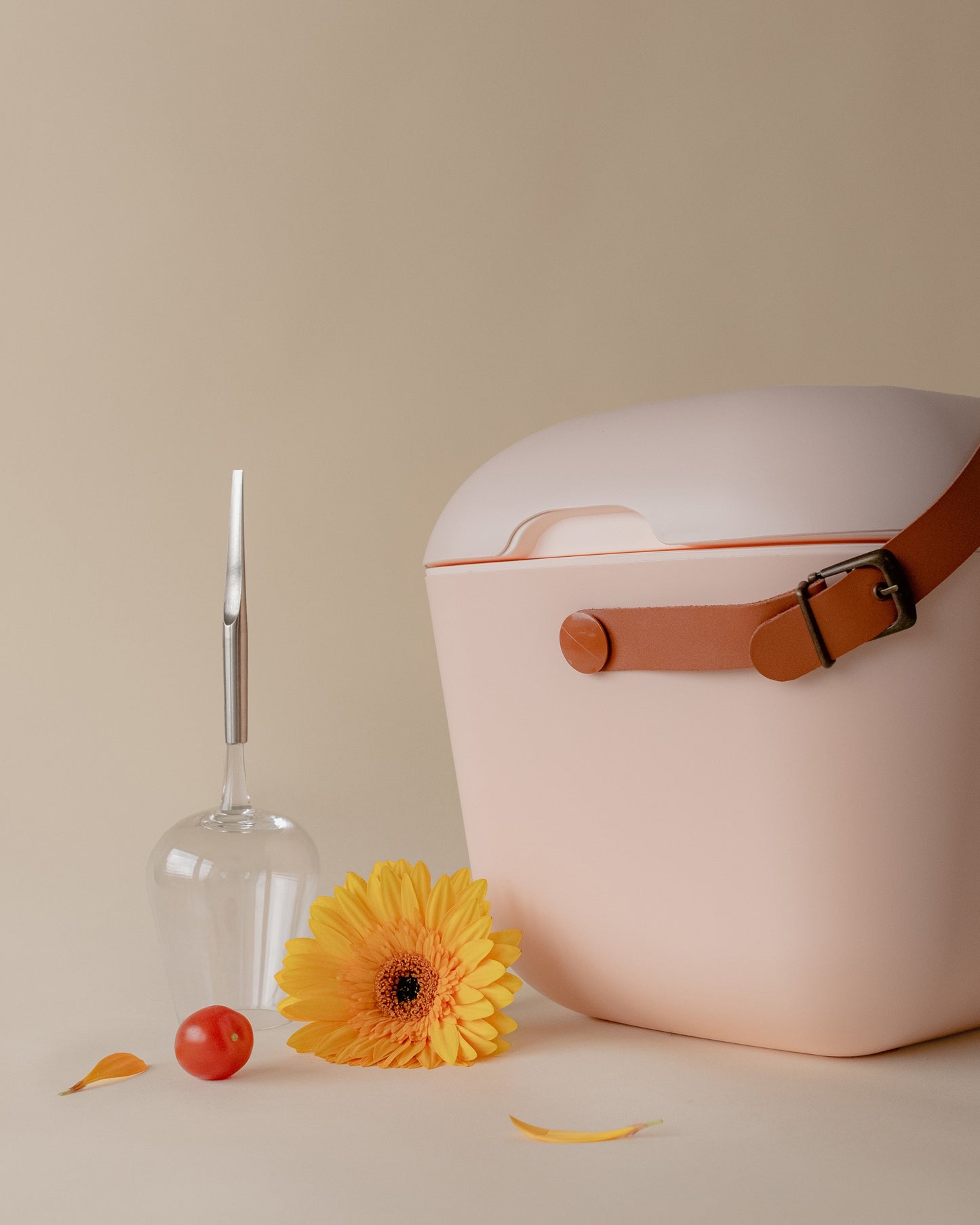 PolarBox - The Retro Cooling Box - 20L, Nude