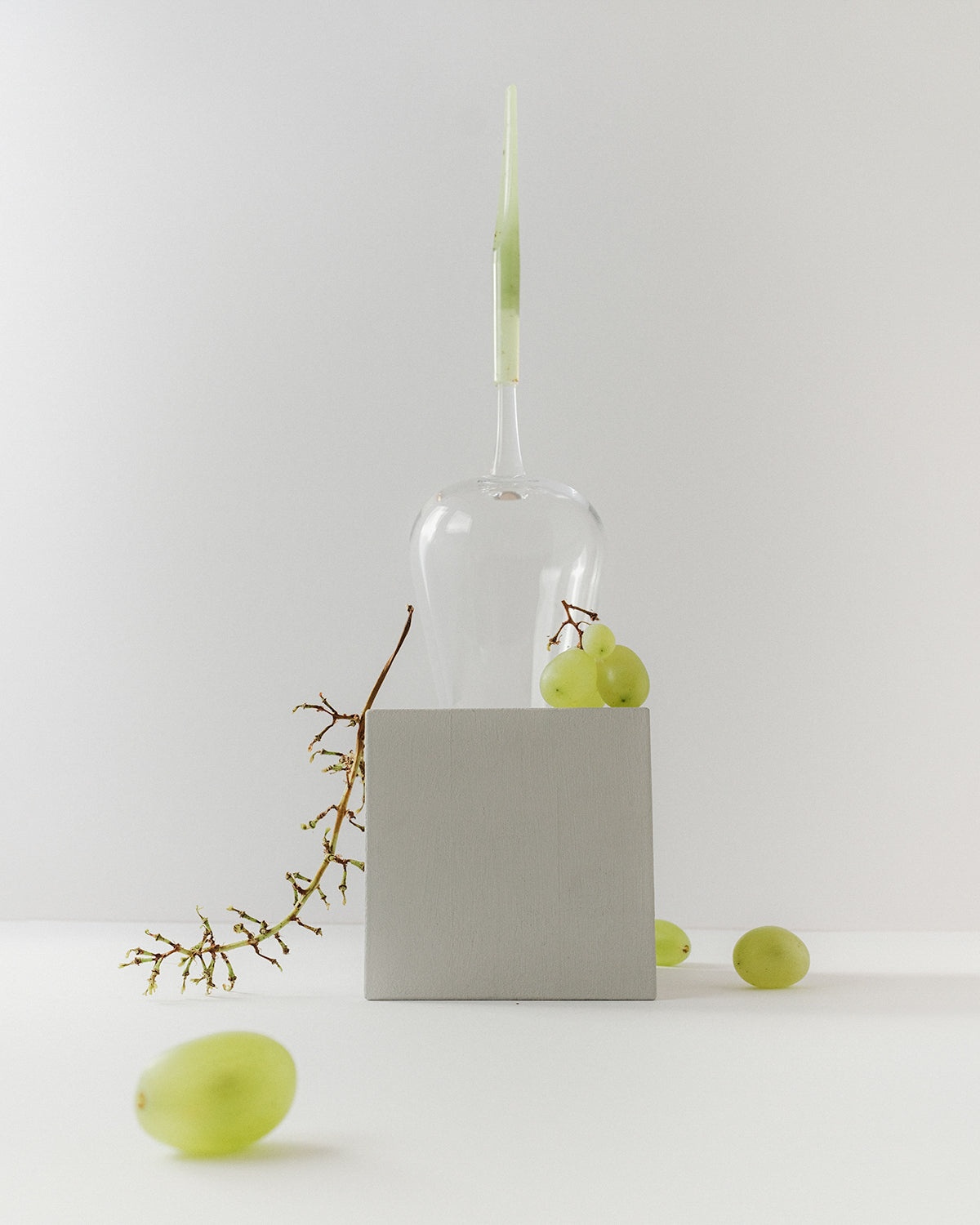 Pointer Wine Glass - Earth Collection - 2 Sets Special Offer