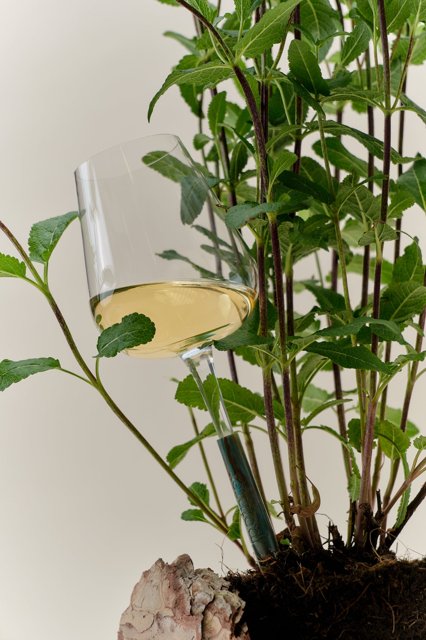 Pointer Wine Glass - Green Onyx