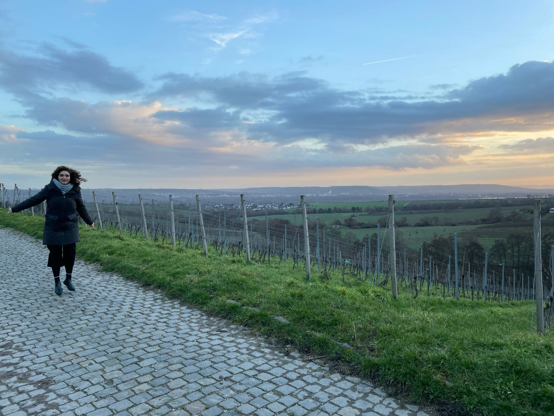 February Visit to Rheingau