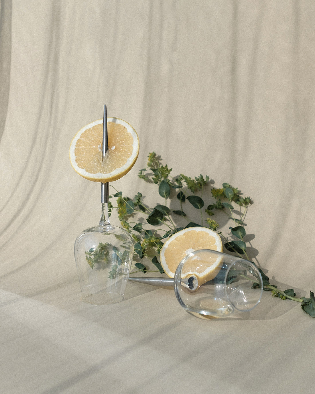 wine glasses with lemon halves and plants against a beige background