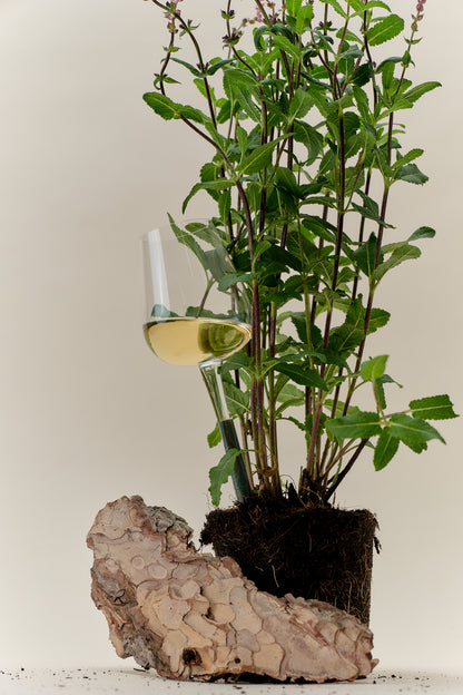 Pointer Wine Glass - Green Onyx
