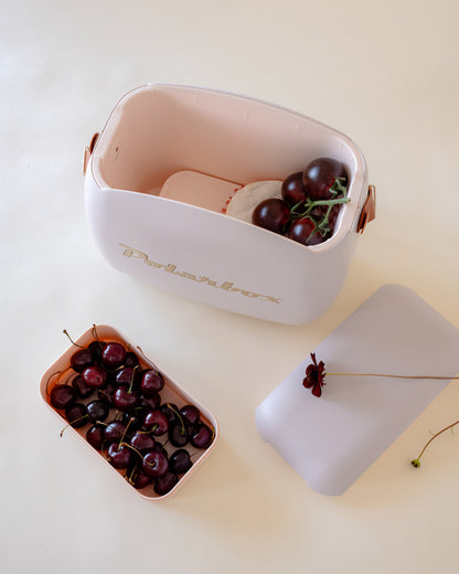 PolarBox - The Retro Cooling Box - 6L, Pearl Gold