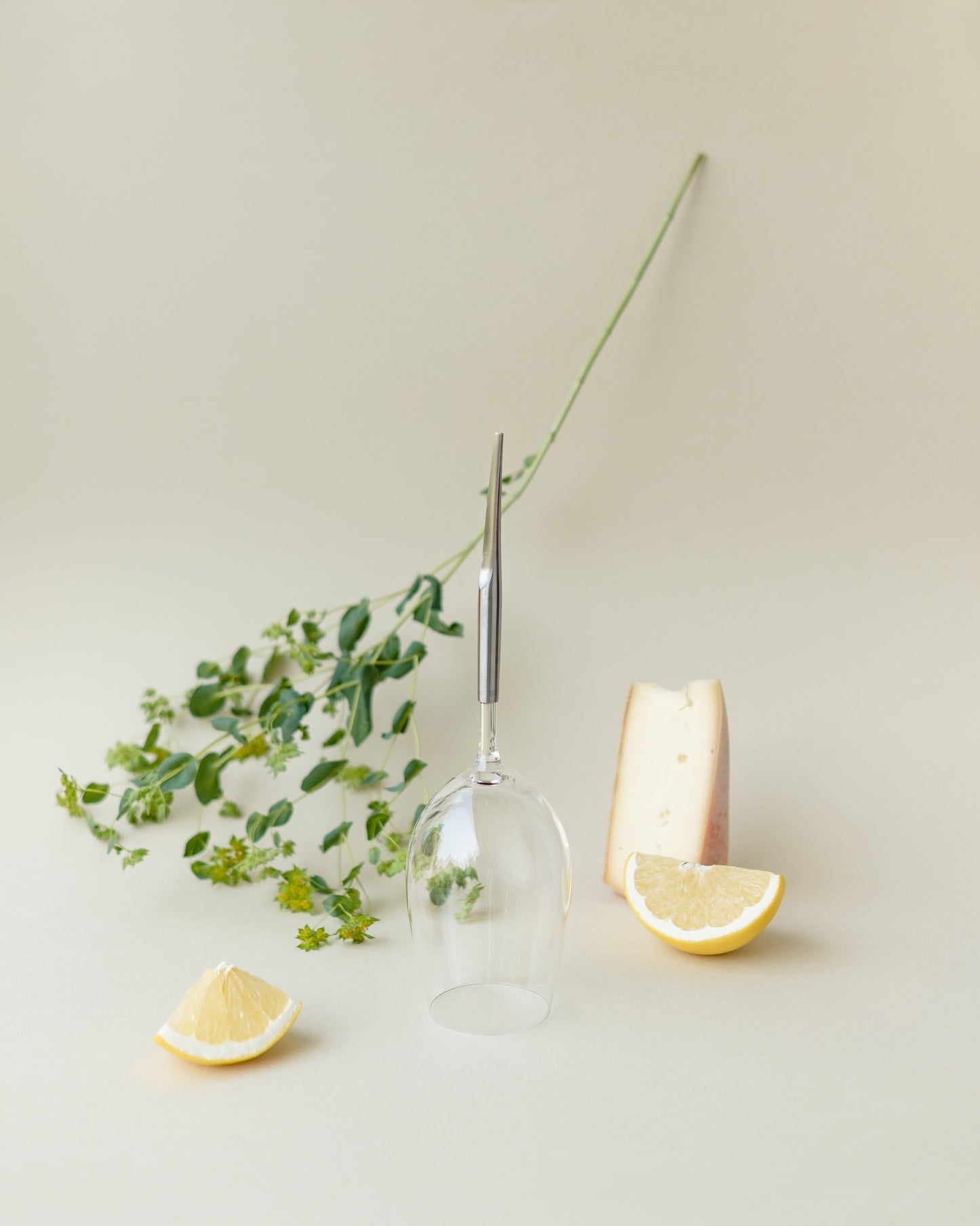 picnic wine glass with metal pin for picnic and for white wine, placed next to cheese, lemon slices and a plant