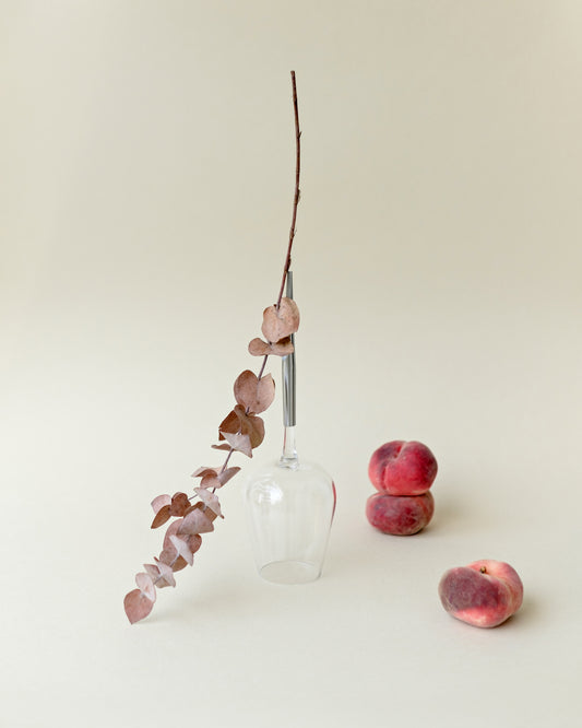 Glass Pointers Original Collection – Pointer