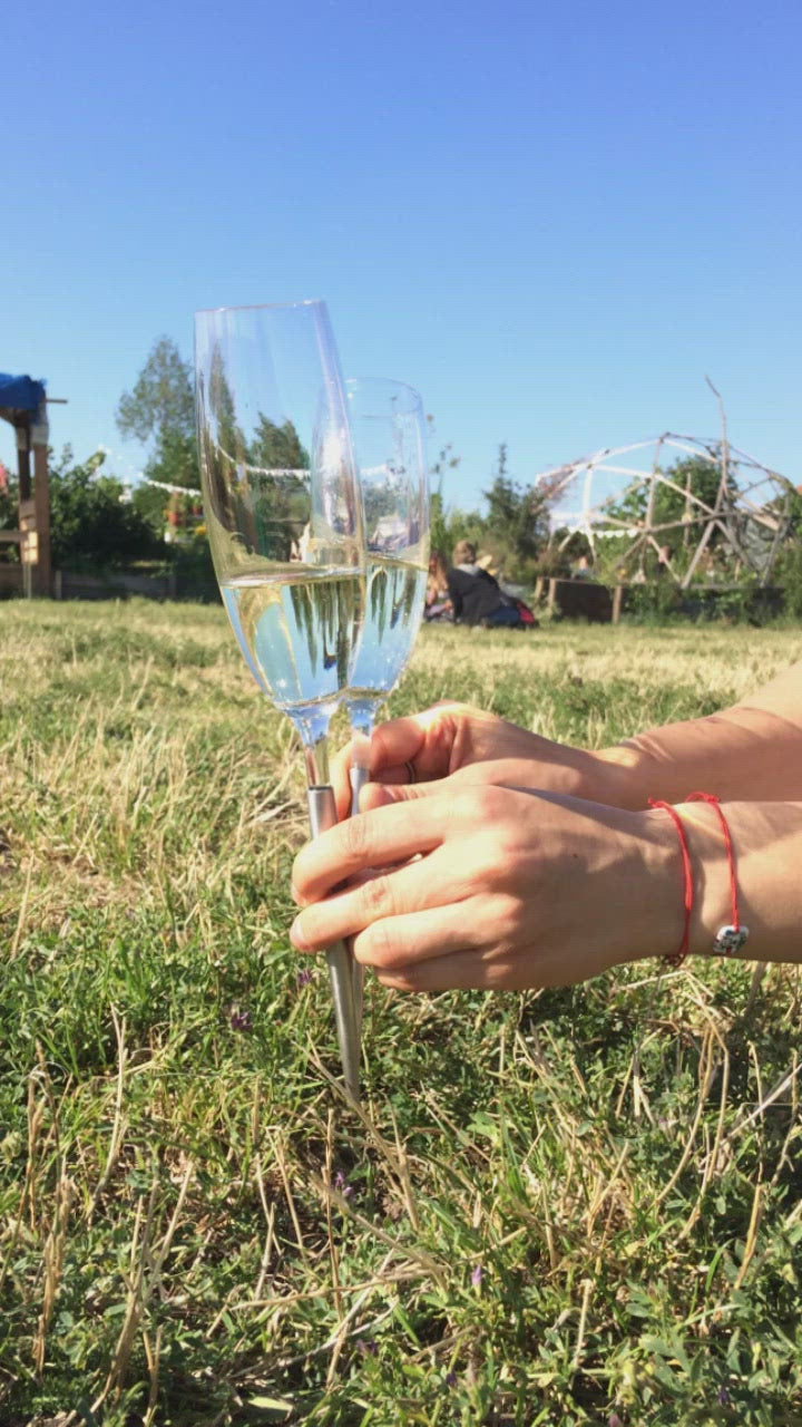 2 Pointer Wine Glasses for Champagne being stuck to the grass in a park in Berlin on a summer day